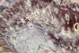 Polished Colorful Agate Slab #338151-1